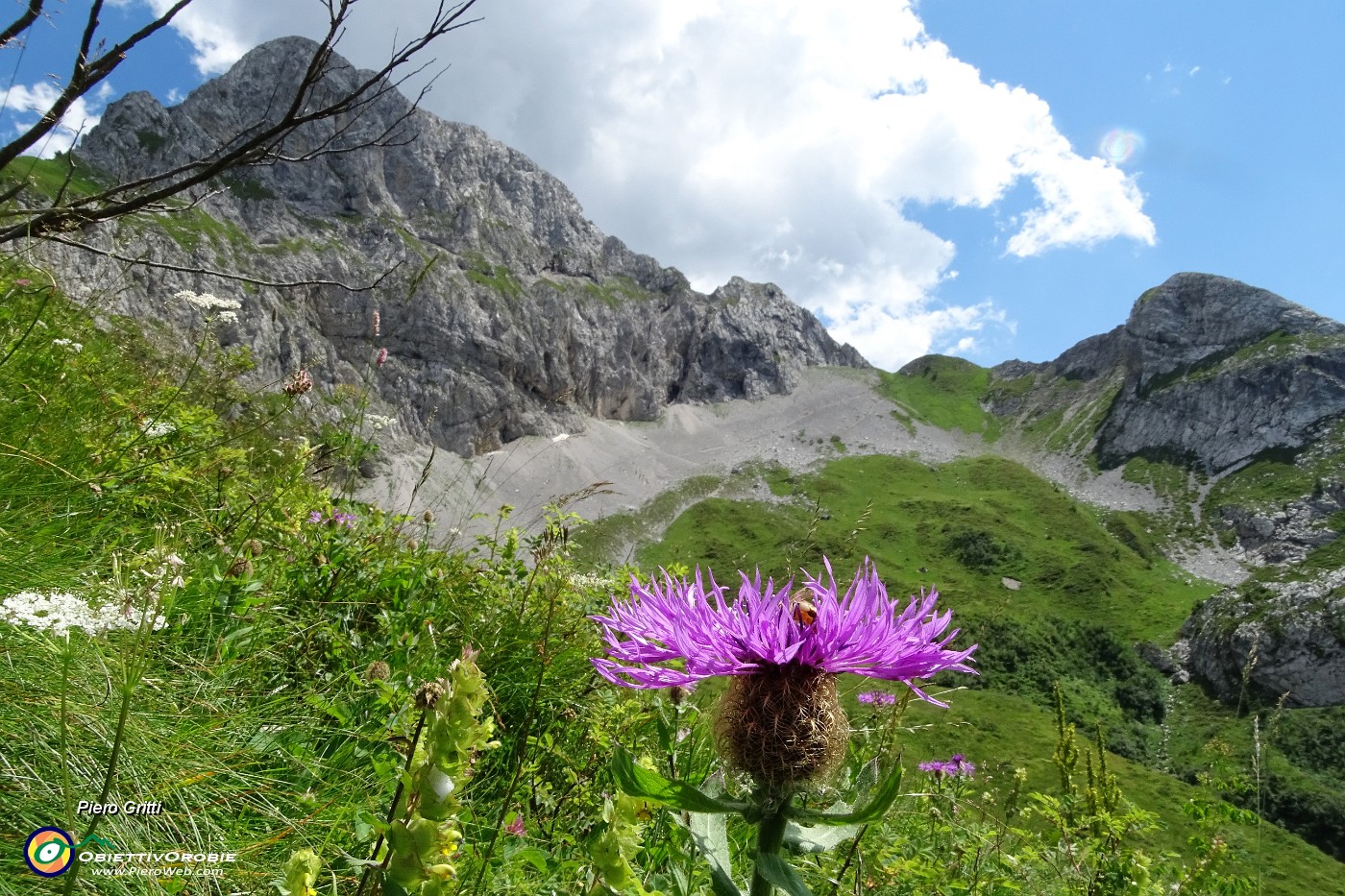 73  Fiordaliso alpino  con vista sulla Bocchetta di Corna Piana da dove sono sceso.JPG